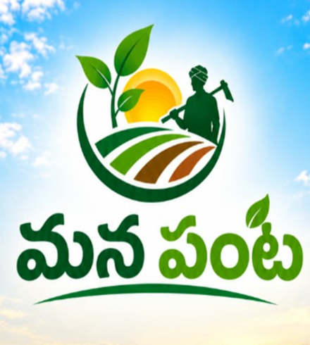 Mana Panta logo